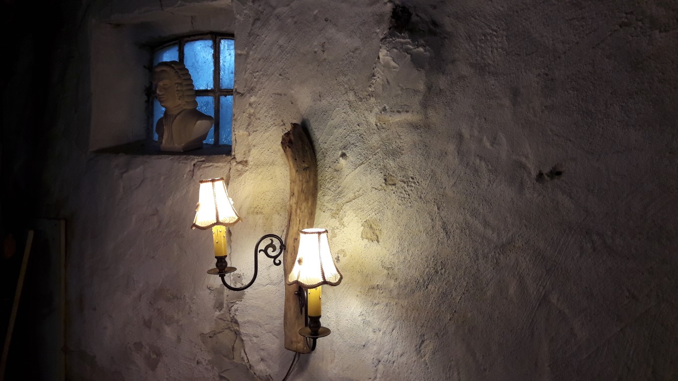 driftwood wandlamp